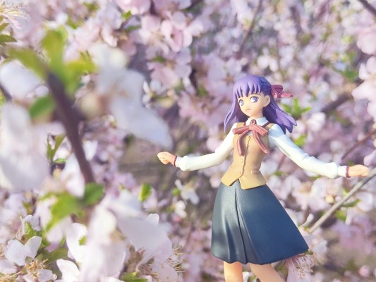 Fate/stay night トレーディング手办 Fate/Stay Night 间桐桜 