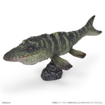 扭蛋 生物大图鉴爬虫类 恐龙05