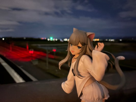 TENITOL TALL 甘城猫猫