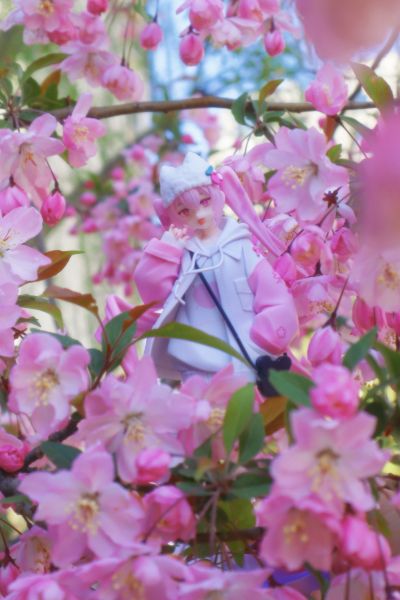 TENITOLpetit 樱花未来 酷风格