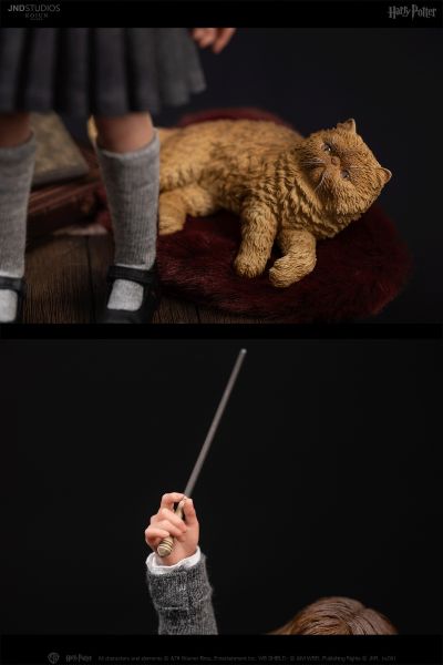 JND Studios 哈利·波特与魔法石 哈利·波特 & 罗恩 & 赫敏 1:6 可动人偶/兵人（Type-C）