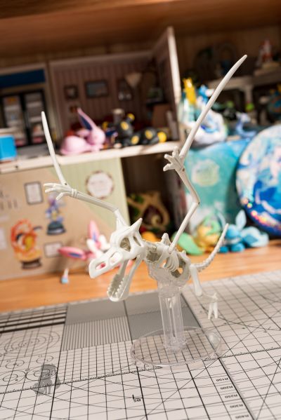 宝可梦拼装模型收藏 化石宝可梦系列 化石翼龙