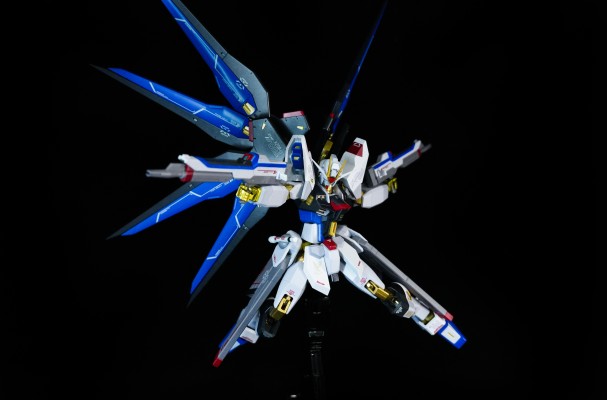 METAL ROBOT魂 ＜机动战士系列＞ 强袭自由高达 [Re:Coordinate]