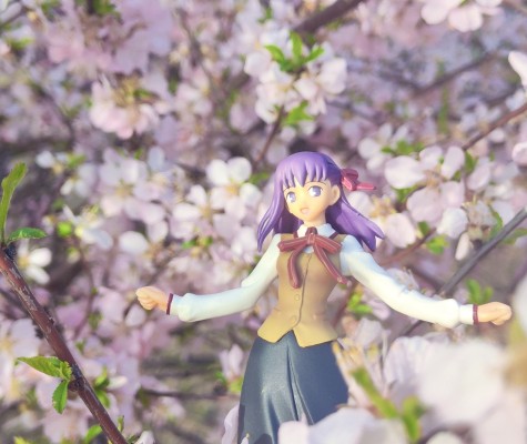 Fate/stay night トレーディング手办 Fate/Stay Night 间桐桜 
