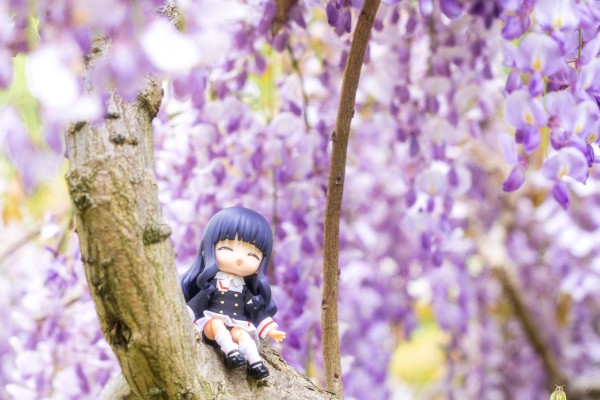 粘土人#2770 魔卡少女樱 透明牌篇 大道寺知世 友枝中学校服