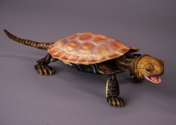 进化生物大图鉴 龟02 附带磁铁的石头形展示架套装