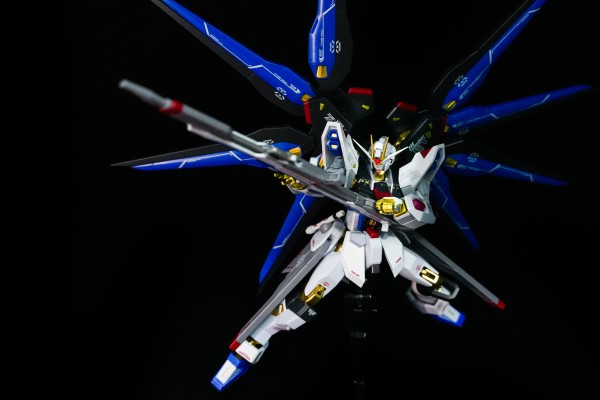 METAL ROBOT魂 ＜机动战士系列＞ 强袭自由高达 [Re:Coordinate]