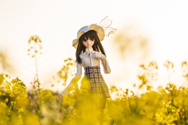 Dollfie Dream DD 白色相簿 森川由绮