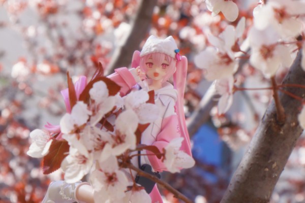 TENITOLpetit 樱花未来 酷风格