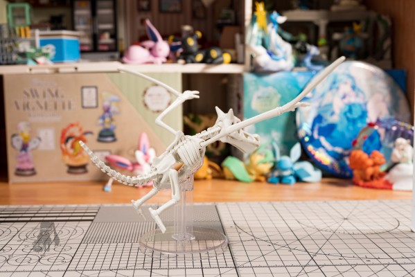 宝可梦拼装模型收藏 化石宝可梦系列 化石翼龙