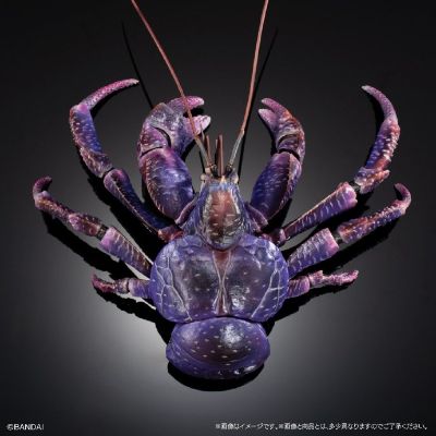 扭蛋 生物大图鉴PREMIUM 椰子蟹（紫色）