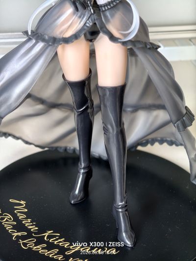 艺术家杰作+ 更衣人偶坠入爱河 喜多川海梦~黑山梗菜~