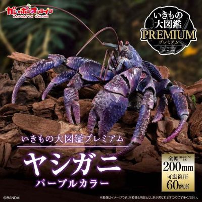 扭蛋 生物大图鉴PREMIUM 椰子蟹（紫色）