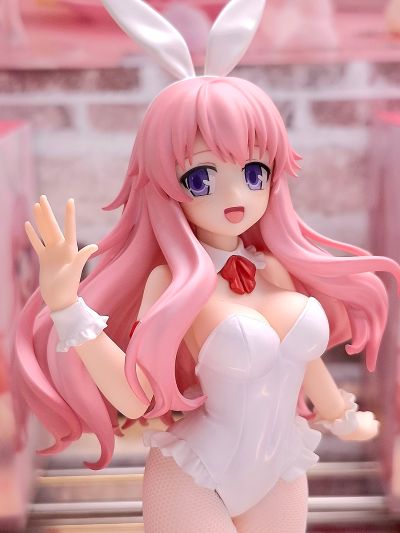 BiCute Bunnies 笨蛋，测验，召唤兽 姬路瑞希