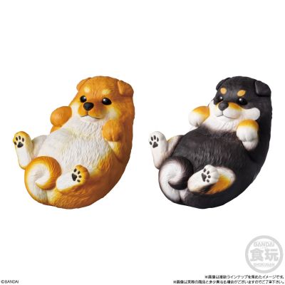 Mochirikororin ♪ 狗狗
