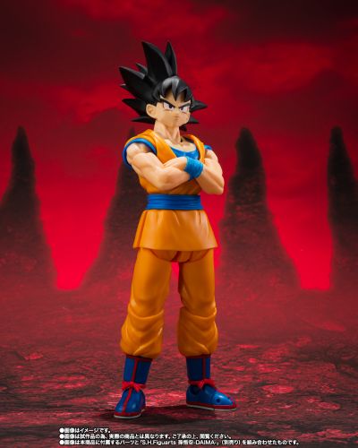 S.H.Figuarts 超级赛亚人3贝吉塔-大魔-