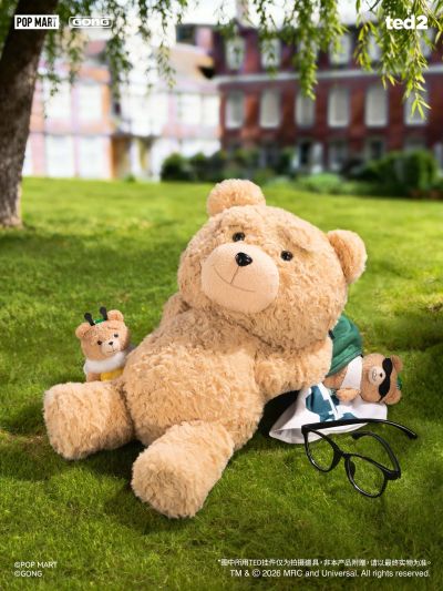 泰迪熊2 泰迪熊 可动毛绒 Hot Nerd Ted