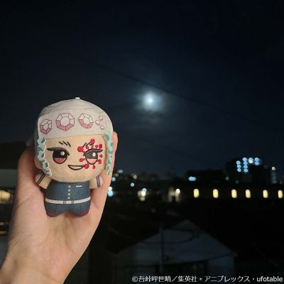 鬼灭之刃 小小谷努咪 第三弹
