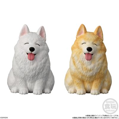 Mochirikororin ♪ 狗狗
