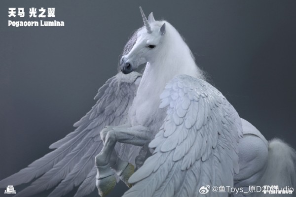 HY-040 天马 光之翼