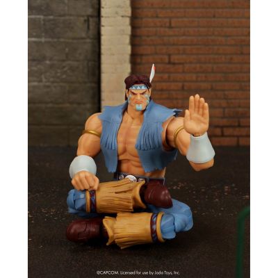 终极街霸2：最后的挑战者 雷鹰