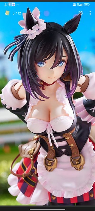 赛马娘 荣进闪耀 胜利姿势