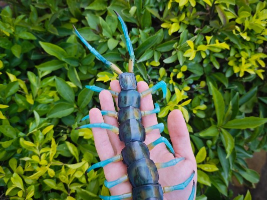 终极生物大图鉴系列 琉神大蜈蚣