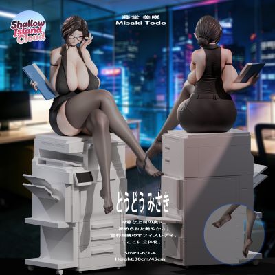职场系列 藤堂美咲