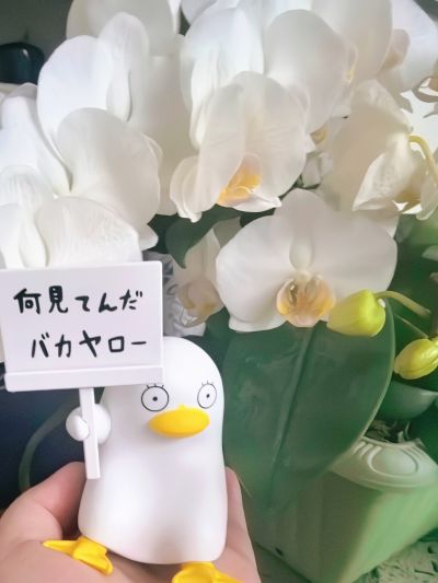 一番赏 银魂 抽赏是节奏和时机 D赏 定春 伊丽莎白 just a way