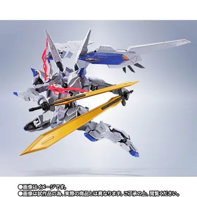 METAL ROBOT魂 ＜SIDE MS＞ 高达巴耶力【Re:Coordinate】