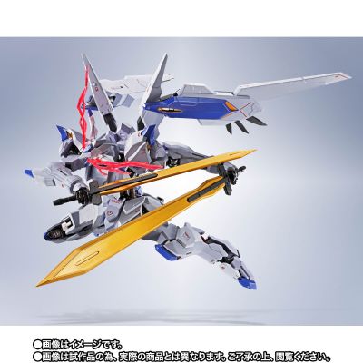 METAL ROBOT魂 ＜SIDE MS＞ 高达巴耶力【Re:Coordinate】