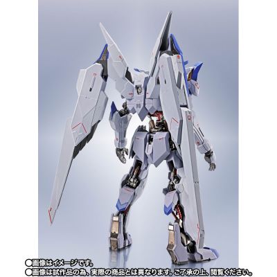 METAL ROBOT魂 ＜SIDE MS＞ 高达巴耶力【Re:Coordinate】