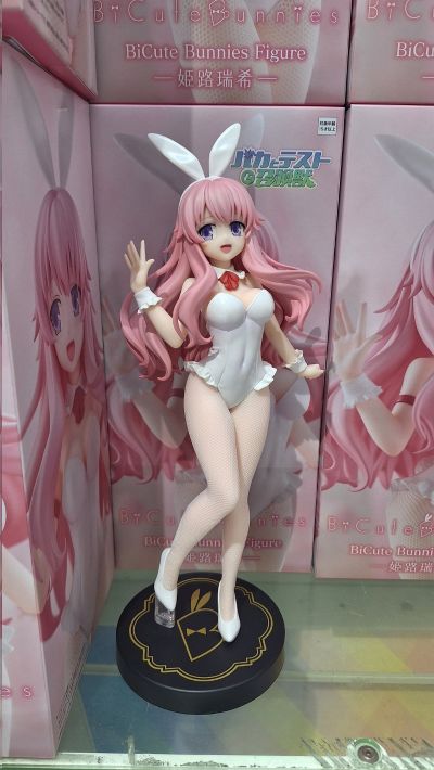BiCute Bunnies 笨蛋，测验，召唤兽 姬路瑞希