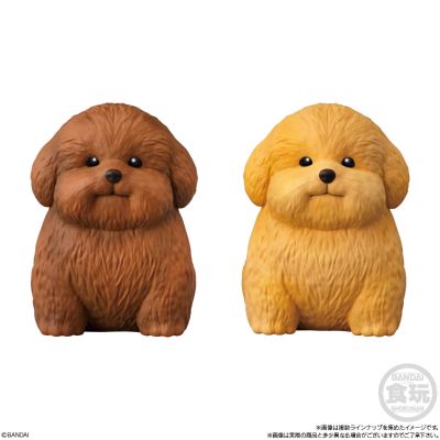 Mochirikororin ♪ 狗狗