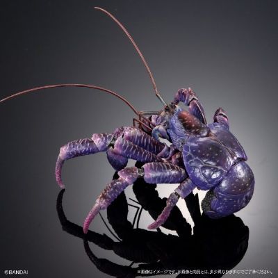 扭蛋 生物大图鉴PREMIUM 椰子蟹（紫色）