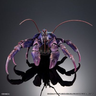 扭蛋 生物大图鉴PREMIUM 椰子蟹（紫色）