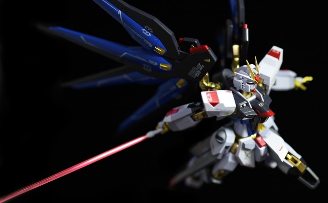 METAL ROBOT魂 ＜机动战士系列＞ 强袭自由高达 [Re:Coordinate]