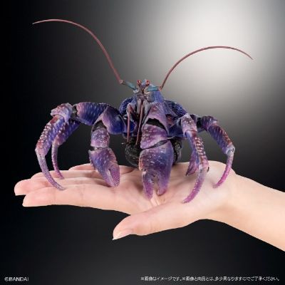 扭蛋 生物大图鉴PREMIUM 椰子蟹（紫色）