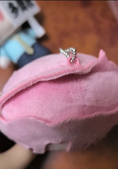 现在多闻君是哪一面？多闻教 毛绒挂件