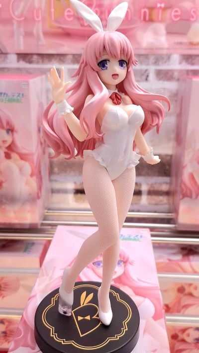 BiCute Bunnies 笨蛋，测验，召唤兽 姬路瑞希