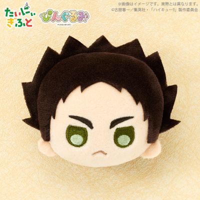 排球少年 毛绒徽章 第一弹