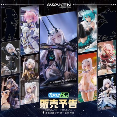 命运-冠位指定 妖精骑士兰斯洛特 第三再临