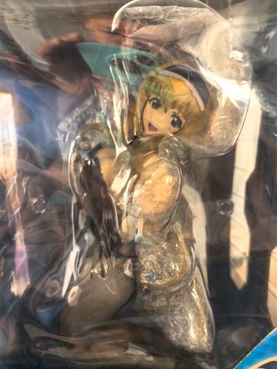 IS〈无限斯特拉托斯〉 塞西莉娅・奥尔科特 兔女郎版