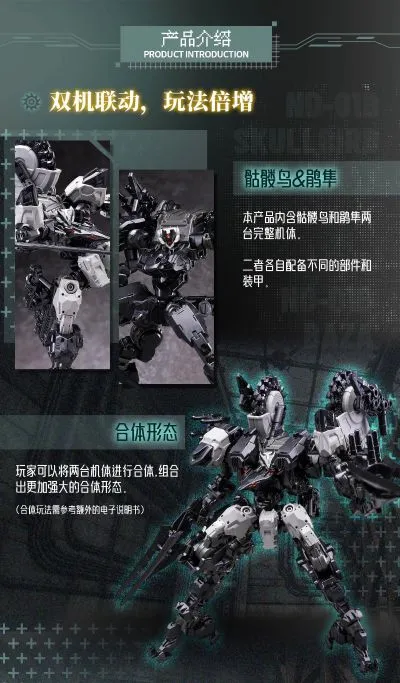 ND-01B 迷惘商会：异鸟代码  骷髅鸟&鹃隼