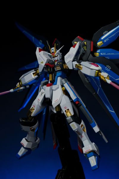 METAL ROBOT魂 ＜机动战士系列＞ 强袭自由高达 [Re:Coordinate]