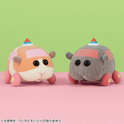 软萌 天竺鼠车车 驾校篇 第一弹 教习泰迪