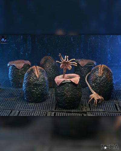 《异形》- 40周年纪念版 异形蛋 六件装配件包