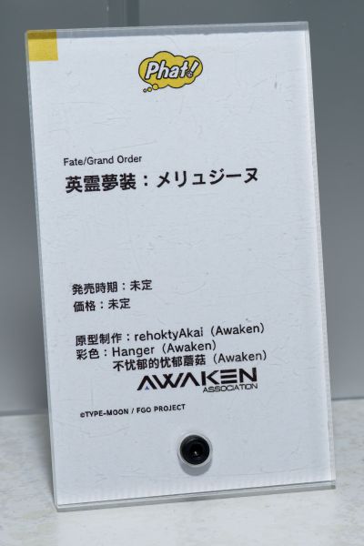 命运-冠位指定 英灵梦装 梅柳齐娜