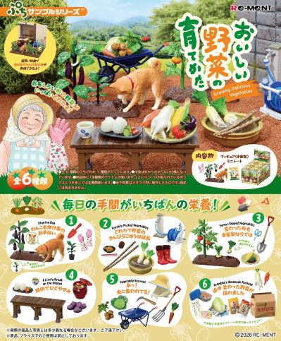 微缩摆件 小小样品 美味蔬菜培育日记