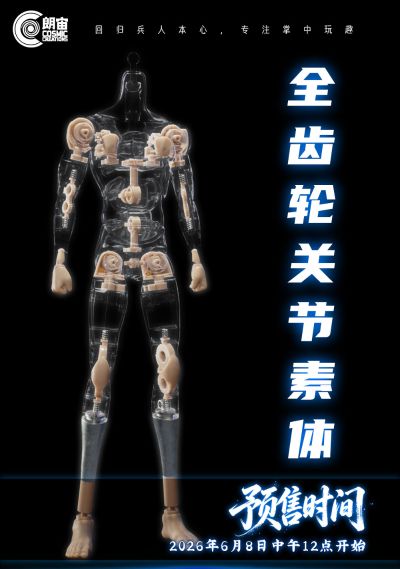 全齿轮关节素体